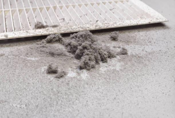 Best Air Duct Cleaning Near Me  in Tipp City, OH