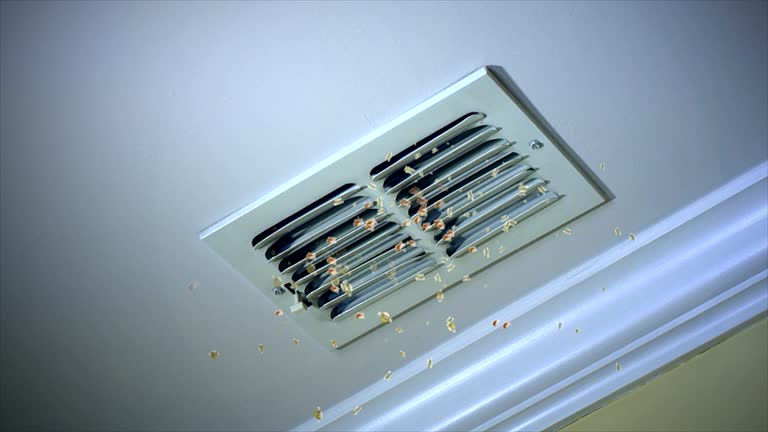 Best Local Air Duct Cleaning Services  in Tipp City, OH