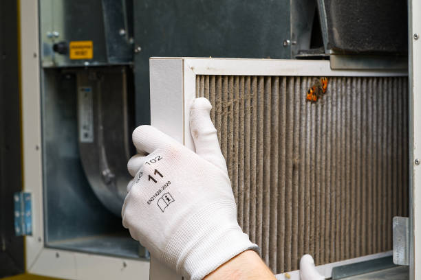Air Duct Mold Removal in OH